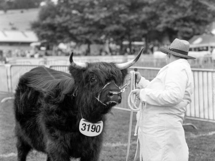 h1-20180724-2-001_800x600