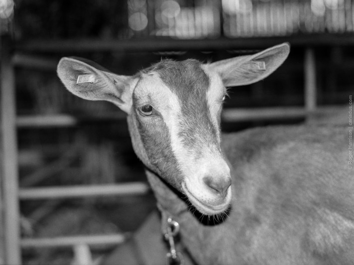 h1-20180724-2-004_800x600