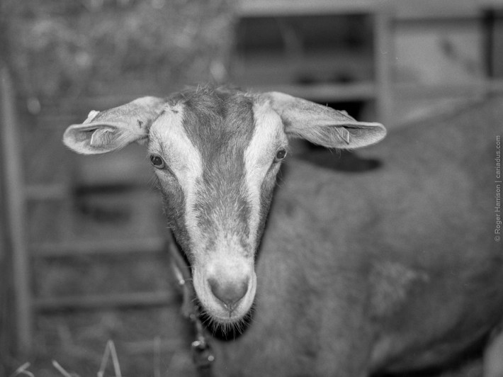 h1-20180724-2-005_800x600