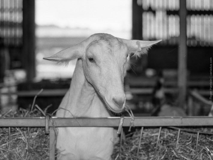 h1-20180724-2-006_800x600