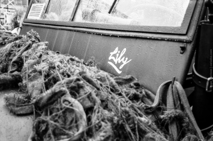 mjuii-20180616-015_800x600