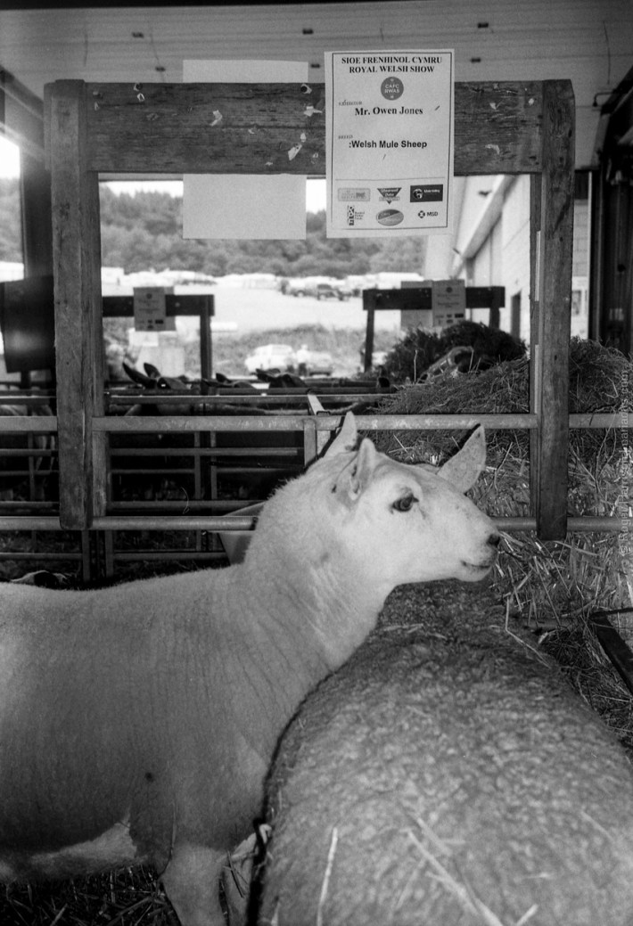 mjuii-20180724-006_800x600